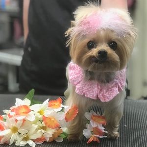 Meet your Posher, Glenda